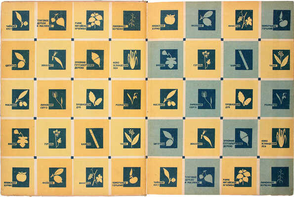 Советские субтропики. Журнал «Огонек». Специальный номер / Авторы худож. построения и оформления Эль и Эс Лисицкие. М.: Журнально-газетное объединение, 1934.